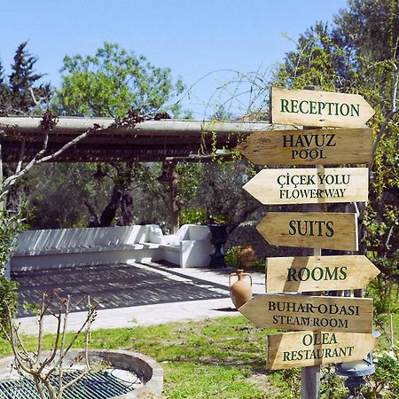 Olive Farm Of Datca Guesthouse (Adults Only) Buitenkant foto