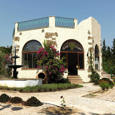 Olive Farm Of Datca Guesthouse (Adults Only) Buitenkant foto
