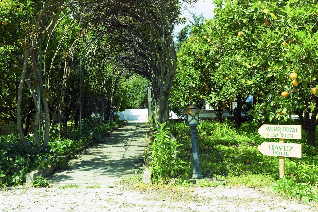 Olive Farm Of Datca Guesthouse (Adults Only) Buitenkant foto
