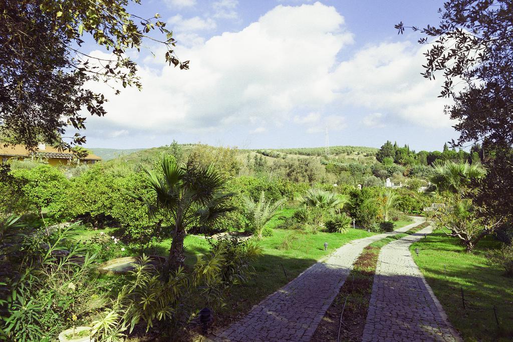 Olive Farm Of Datca Guesthouse (Adults Only) Buitenkant foto
