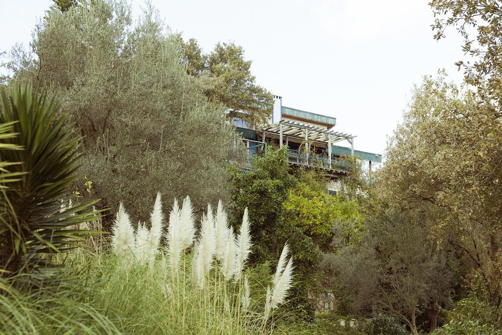 Olive Farm Of Datca Guesthouse (Adults Only) Buitenkant foto