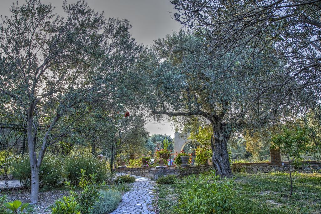 Olive Farm Of Datca Guesthouse (Adults Only) Buitenkant foto