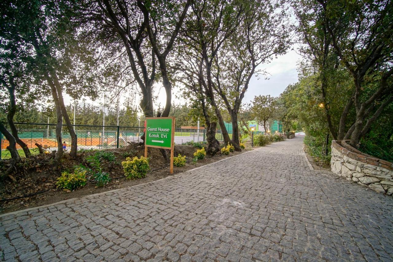 Olive Farm Of Datca Guesthouse (Adults Only) Buitenkant foto