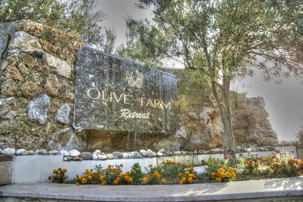Olive Farm Of Datca Guesthouse (Adults Only) Buitenkant foto