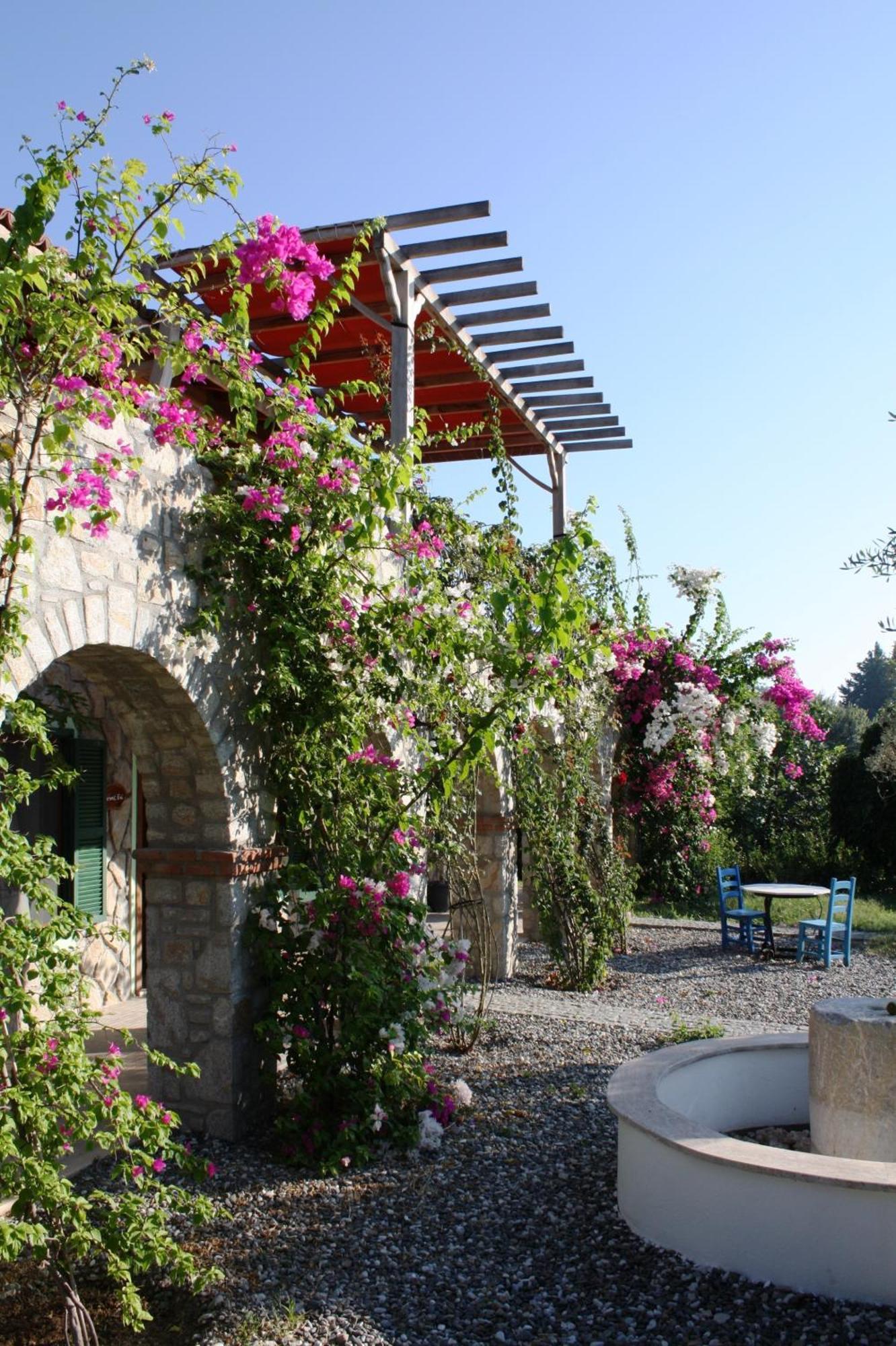 Olive Farm Of Datca Guesthouse (Adults Only) Buitenkant foto