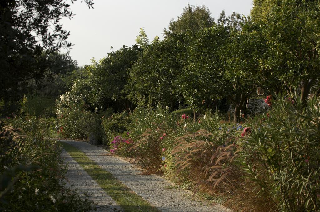 Olive Farm Of Datca Guesthouse (Adults Only) Buitenkant foto