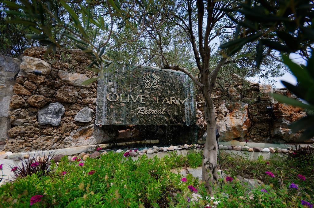 Olive Farm Of Datca Guesthouse (Adults Only) Buitenkant foto