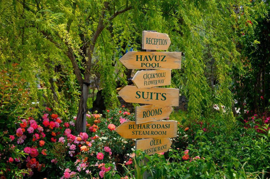 Olive Farm Of Datca Guesthouse (Adults Only) Buitenkant foto