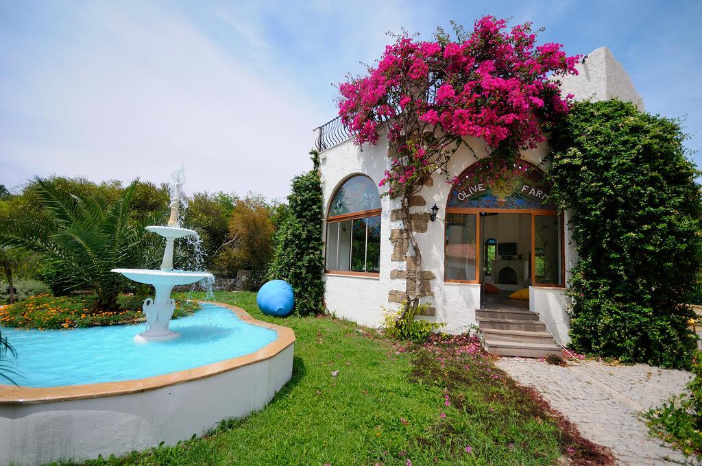 Olive Farm Of Datca Guesthouse (Adults Only) Buitenkant foto