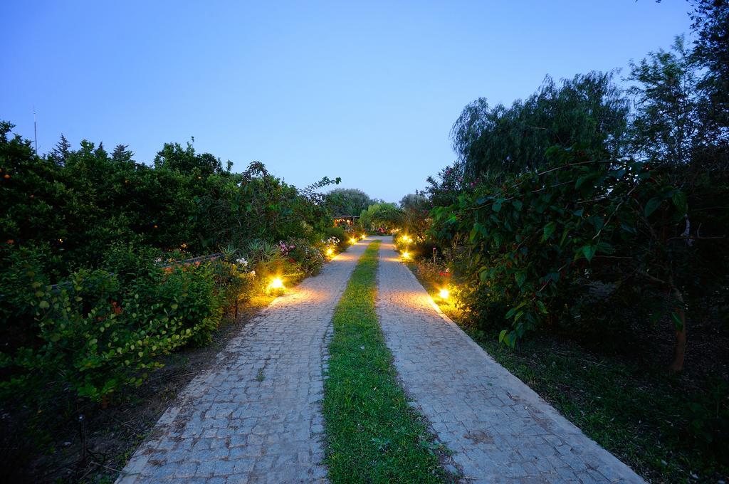 Olive Farm Of Datca Guesthouse (Adults Only) Buitenkant foto