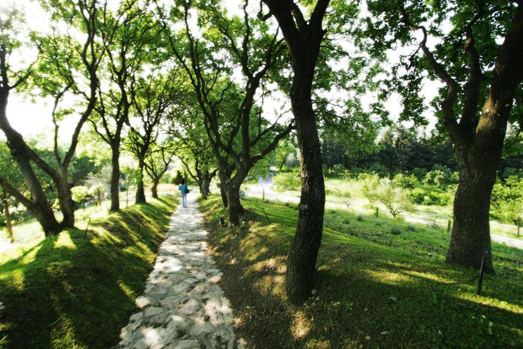 Olive Farm Of Datca Guesthouse (Adults Only) Buitenkant foto