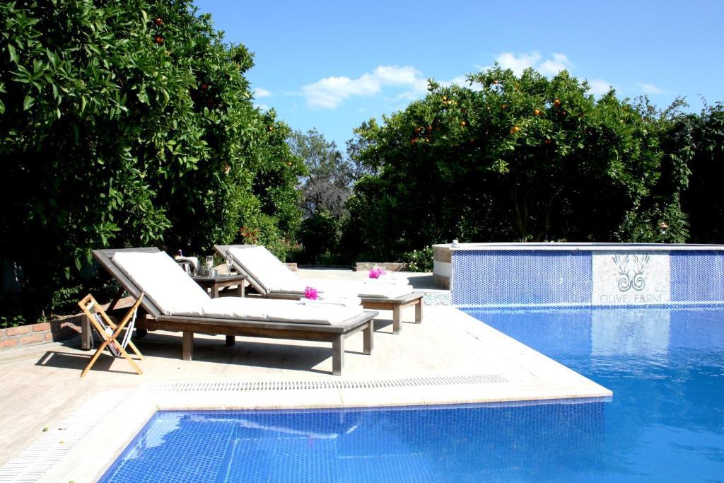Olive Farm Of Datca Guesthouse (Adults Only) Buitenkant foto