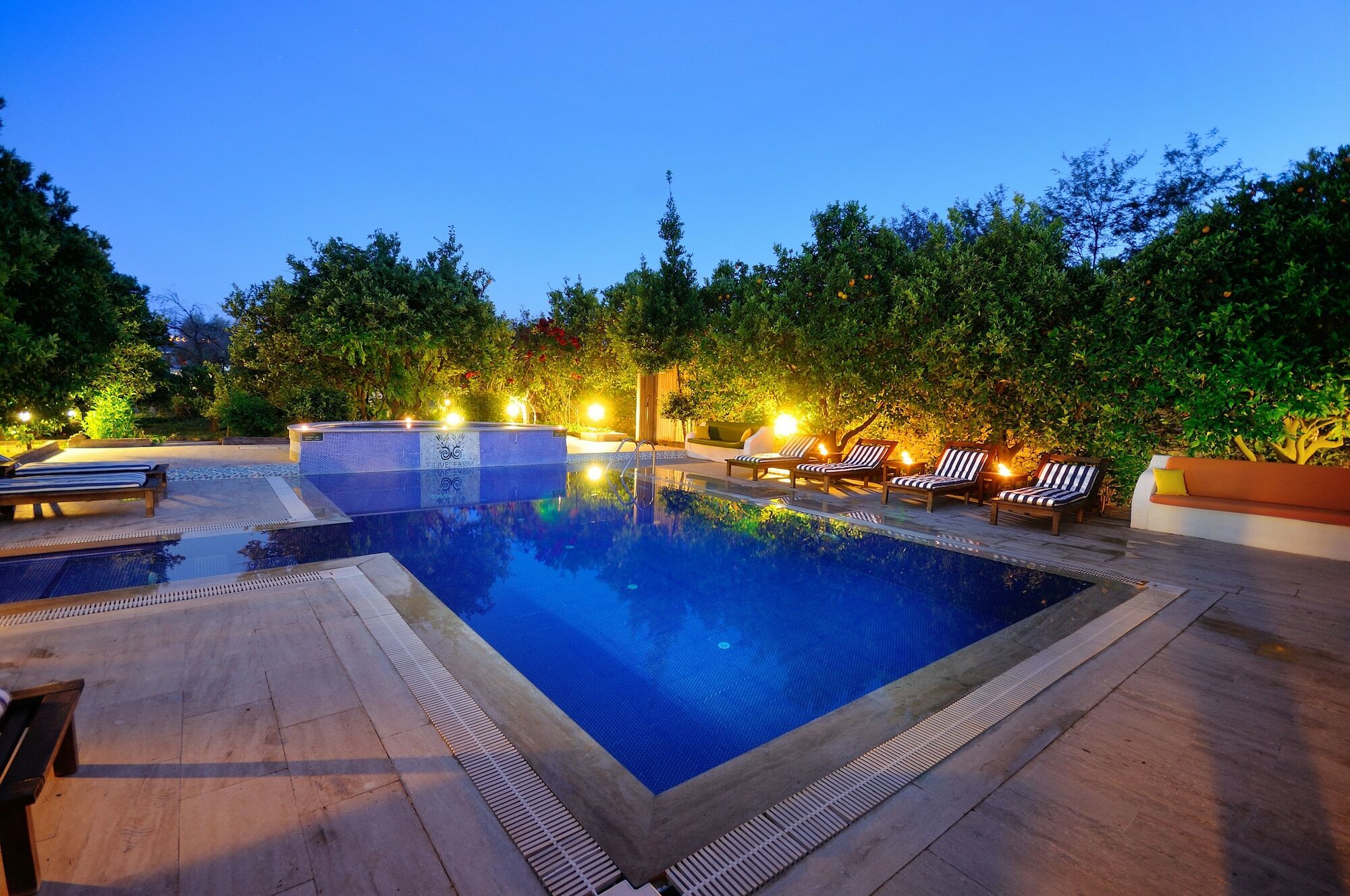 Olive Farm Of Datca Guesthouse (Adults Only) Buitenkant foto
